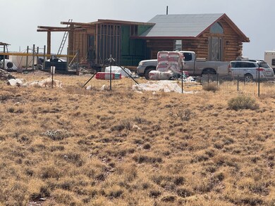 20 County Road 5311, Concho, AZ 85924 - photo 7