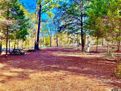 5395 Grand View Dr, Athens, TX 75752 - photo 5