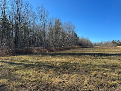 0 E Hawley Rd unit 73456358, Charlemont, MA 01339 - photo 3