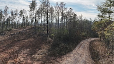 010 County Road 176, Piedmont, AL 36272 - photo 5