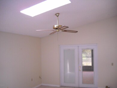 Skylight & Vaulted ceiling