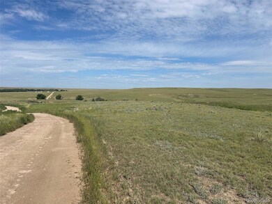 0 2a-5 unit REC9844697, Ramah, CO 80832 - photo 5