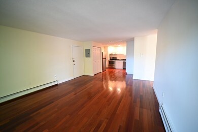 15 Francis St unit 38, Brookline, MA 02446 - photo 7