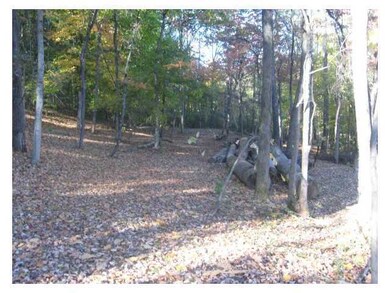 11163 Gore-Greendale Rd, Logan, OH 43138 - photo 5