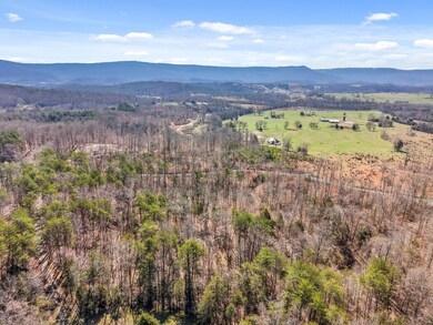 02-DJI_20250317112913_0323_D