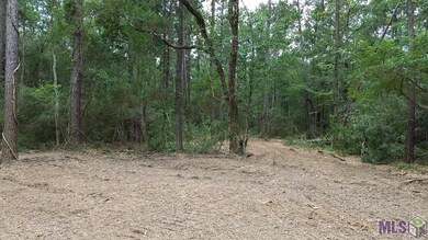 Tract C Whiskey Ln unit C, Tickfaw, LA 70466 - photo 6