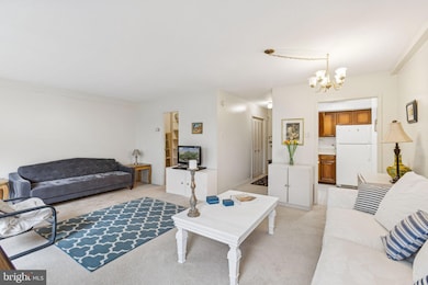 Prospect House unit 565, Arlington, VA 22209 - photo 4