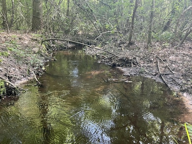 20 acres Mattie Ln, Purvis, MS 39475 - photo 3