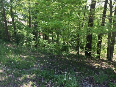 0 Walnut Dr unit Lot 26 221039271, Logan, OH 43138 - photo 3