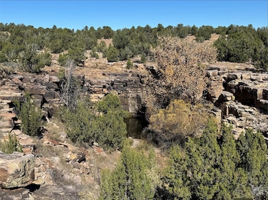 158.81 Off B27a, Serafina, NM 87569 - photo 6