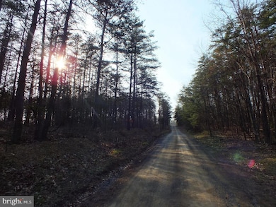 Lot 15 Pine Crest Ln, Gainesboro, VA 22603 - photo 4