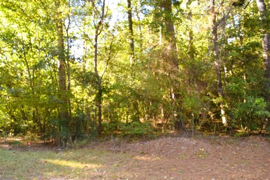 Possibilites are endless. Build or bring your RV or mobile home.