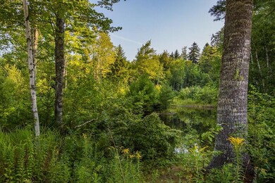 Pond on 44 Stone Drive