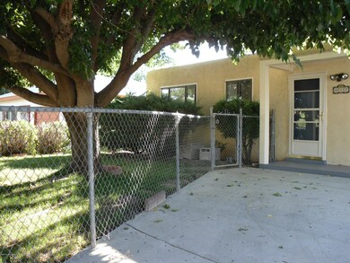 Front yard with big tree