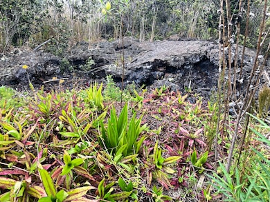 Beautiful Natural Features