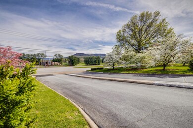 202 University Pkwy unit 2E, Johnson City, TN 37604 - photo 4