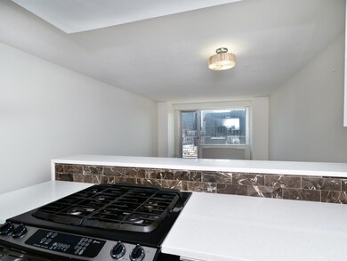 Tremont on the Common unit 18T, Boston, MA 02111 - photo 2