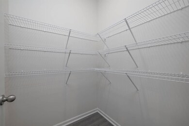 Halton CCL (5)