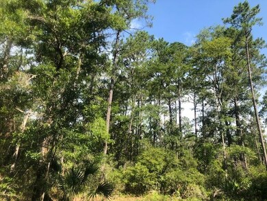 0 Whippoorwill Ln unit 295772, Crawfordville, FL 32327 - photo 3