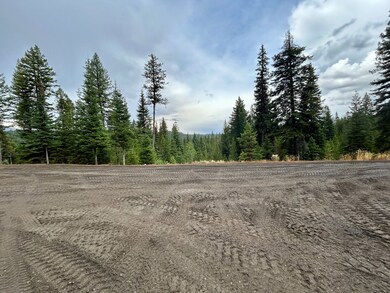 25 Sawtooth Loop unit Lot 25, Cascade, ID 83611 - photo 5