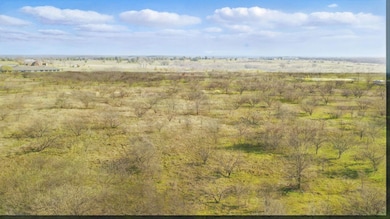 Tract A Tx 148 Hwy, Jacksboro, TX 76458 - photo 3