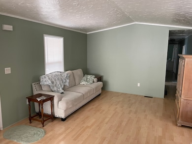 Living room featuring light wood-style floors, a textured ceiling, and ornamental molding
