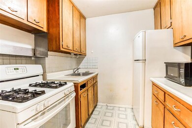 10 Huron Ave unit 2E, Jersey City, NJ 07306 - photo 7