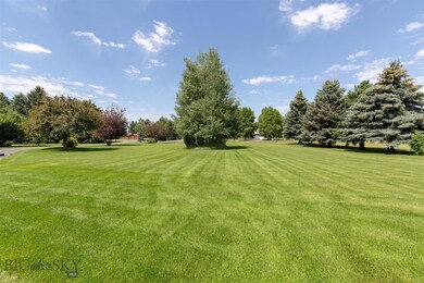 Gorgeous park like Front Yard with huge mature bea
