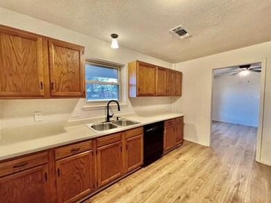 5204 Camino Dos Lagos Dr, Sherman, TX 75090 - photo 5