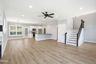 391 Wilson Knob View, Jonesborough, TN 37659 - photo 3