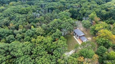 8995 Bammann Place, Dittmer, MO 63023 - photo 4