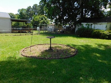 back yard