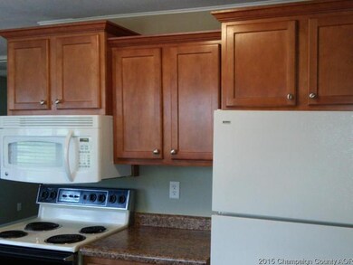 906 E Newkirk St, Tuscola, IL 61953 - photo 7