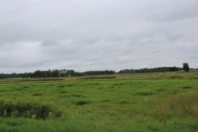 TBD 310th St, Little Elk Township, MN 56438 - photo 5