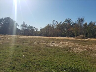 TBD Pinegrove Dr, Pineville, LA 71360 - photo 5