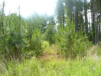 5 Outlook Dr, Iron Station, NC 28080 - photo 2