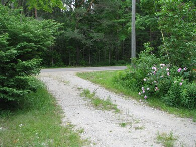 10929 Townline Rd, Charlevoix, MI 49720 - photo 5