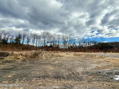 0 Old Excelsior Rd, Coal Township, PA 17866 - photo 6