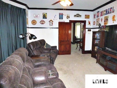 625 College Ave, Lincoln, IL 62656 - photo 5