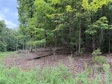 00 Woodchuck Ln unit 110, Marion, NC 28752 - photo 2