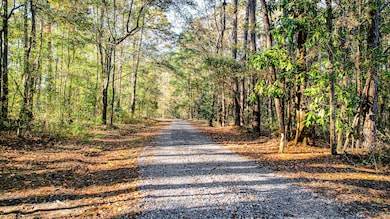 240 Groomsville Rd, Moncks Corner, SC 29461 - photo 5