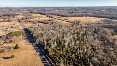 Tract 10 Rooster Rd, Conway, AR 72032 - photo 4