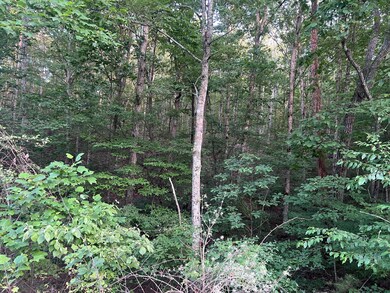 0 Ln unit 1524864, South Pittsburg, TN 37380 - photo 6