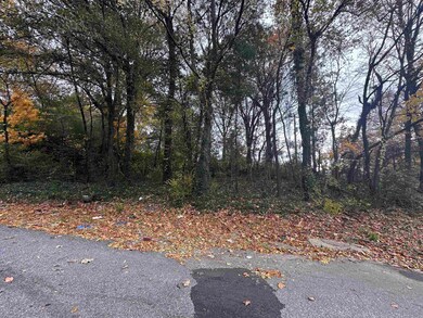 2308 Ketchum Rd, Memphis, TN 38114 - photo 5