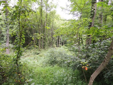 Woods
