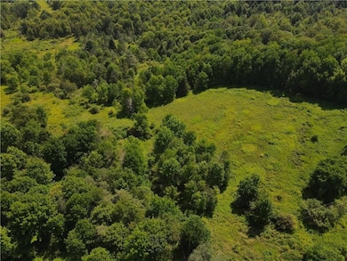 Jennison Rd, Edmeston, NY 13335 - photo 4