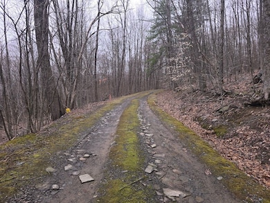 599 Ostrander Rd, Windsor, NY 13865 - photo 3