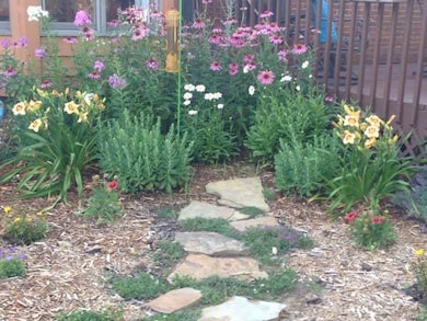 Last year flower garden in summer