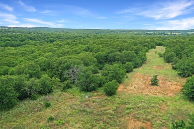 215 Acres unit East Truce Road, Bowie, TX 76230 - photo 6