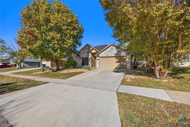 4209 Telluride Dr, Killeen, TX 76542 - photo 4